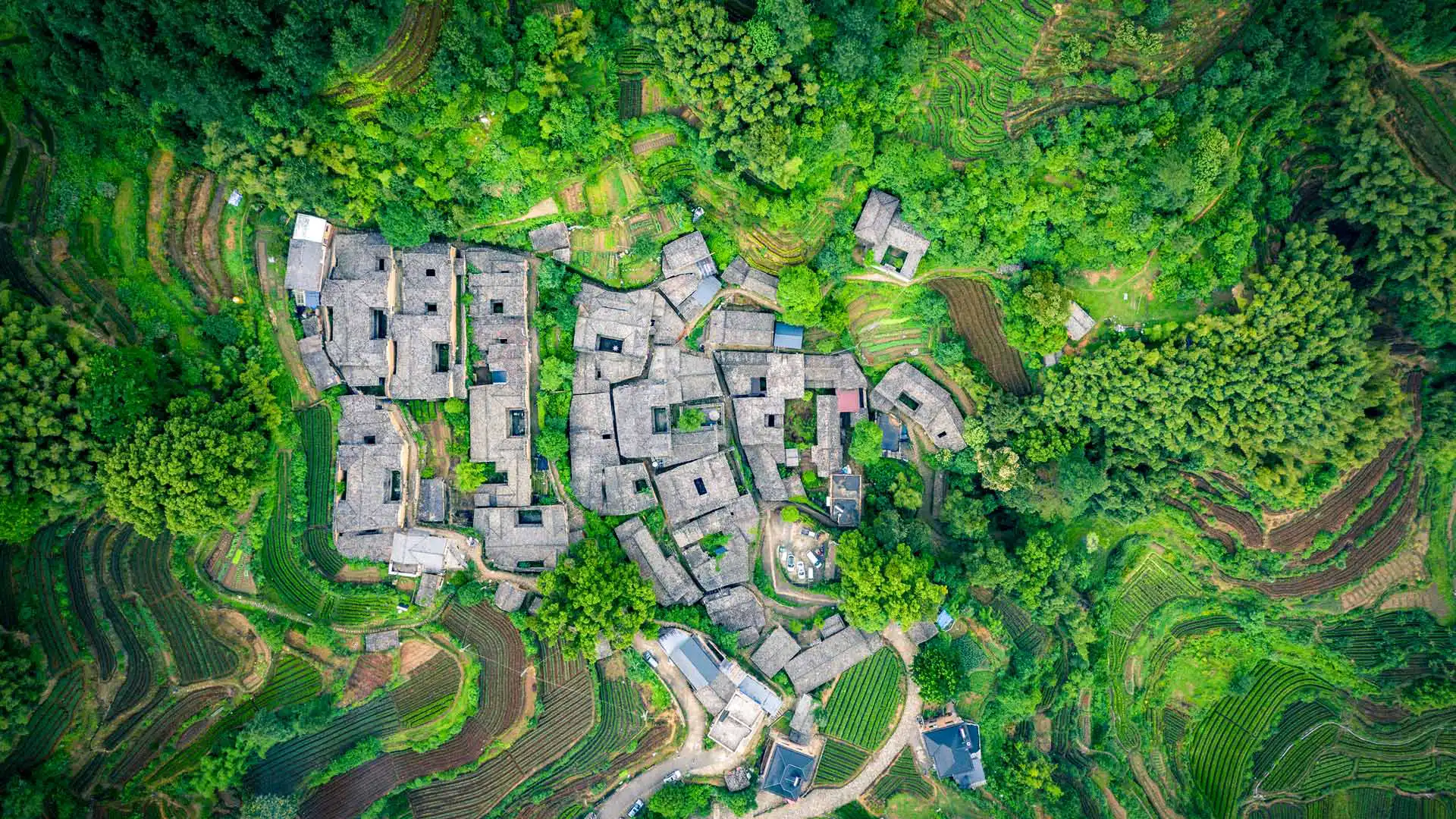 2025-05-22 打工人日报