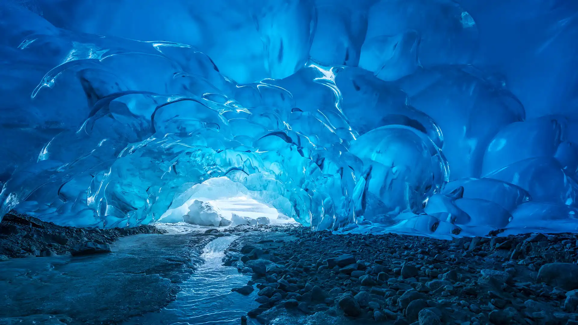 2026-02-26 打工人日报