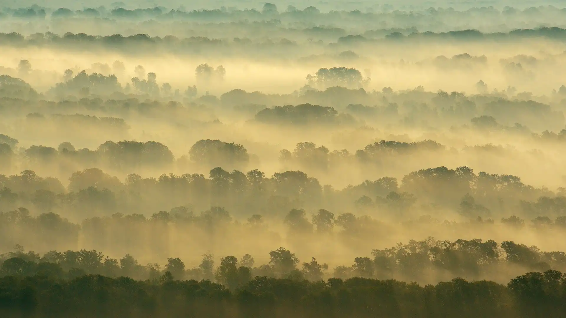 2026-03-22 打工人日报