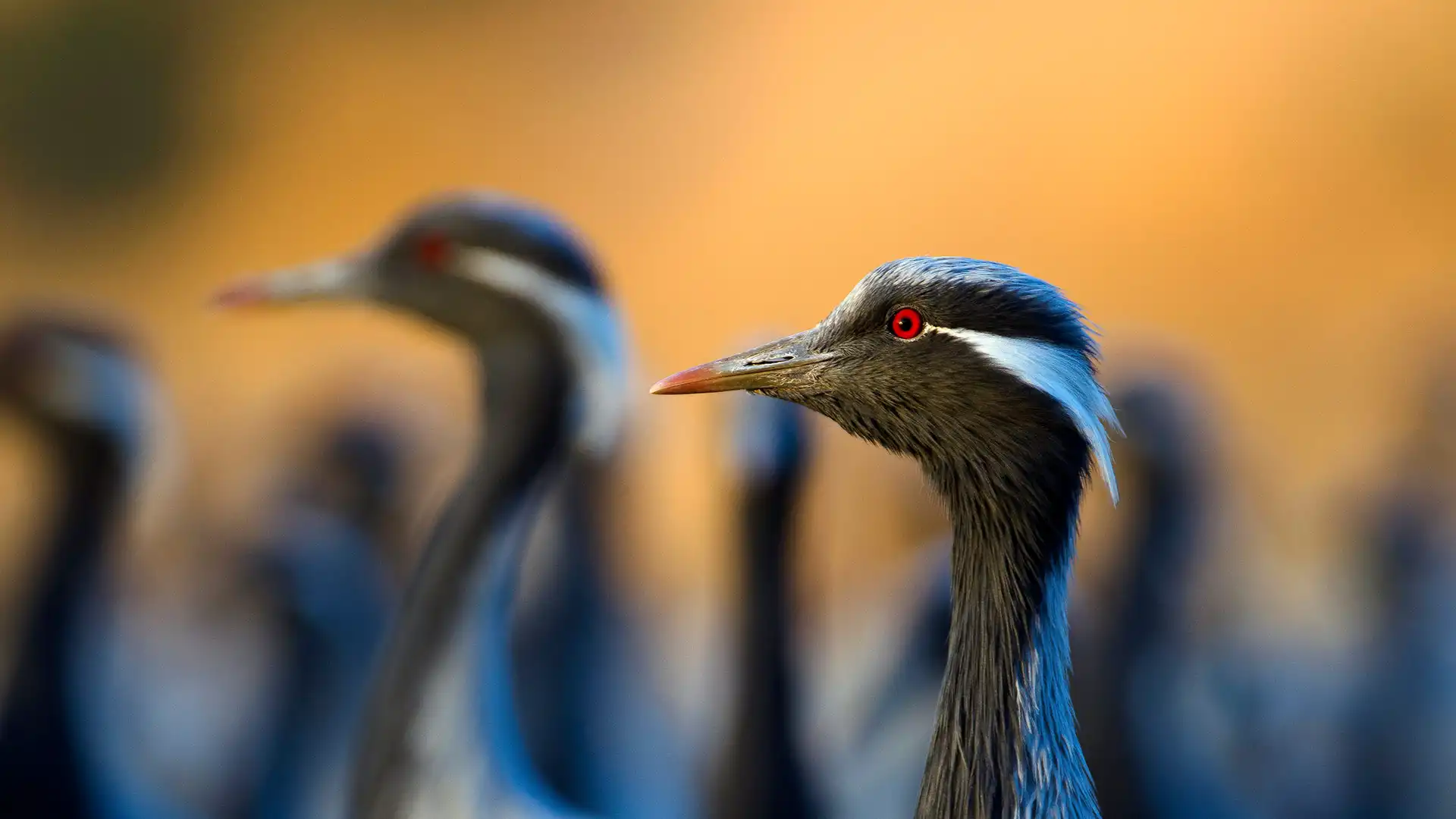 2026-03-31 打工人日报